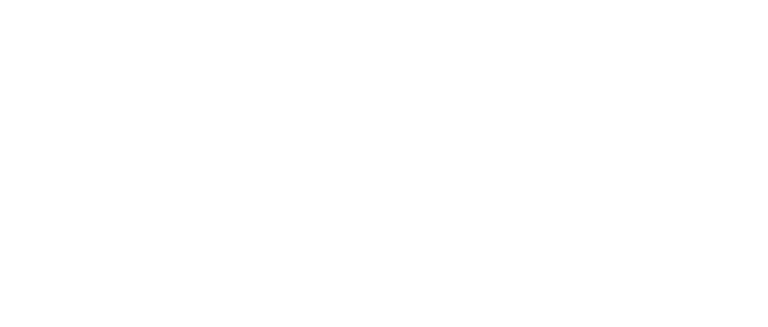 EMS Crewing Logo weiß