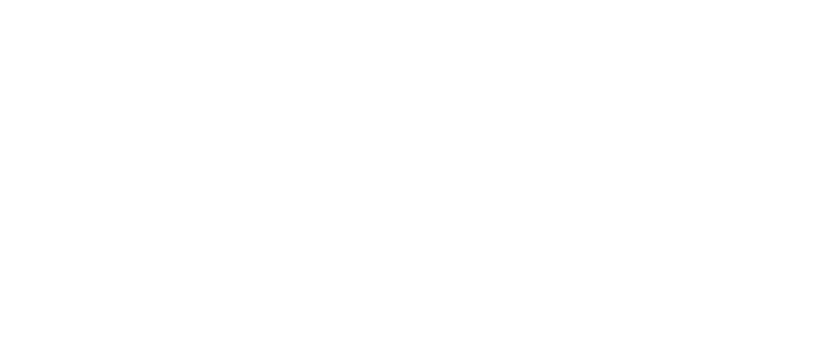 EMS Crewing Logo weiß